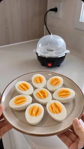 hervidor de huevos electrico gallina BLANCA